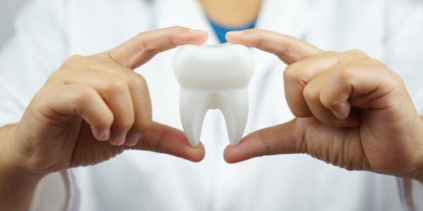 Best Low-Cost Dental Insurance Plans In 2025